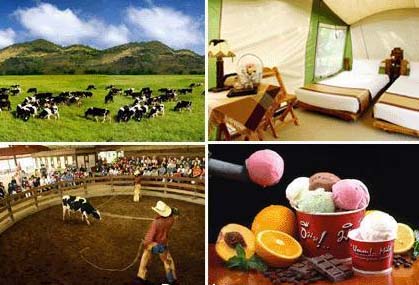 cowboyimage004